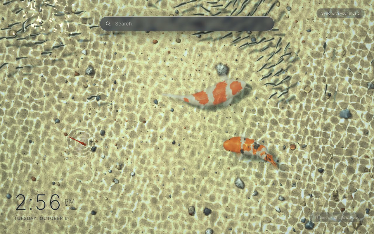 Shallow Pond New Tab theme: two orange-and-white koi, schools of silver minnows and a red dragonfly over rippled sand and pebbles in clear sunlit water, seen from above